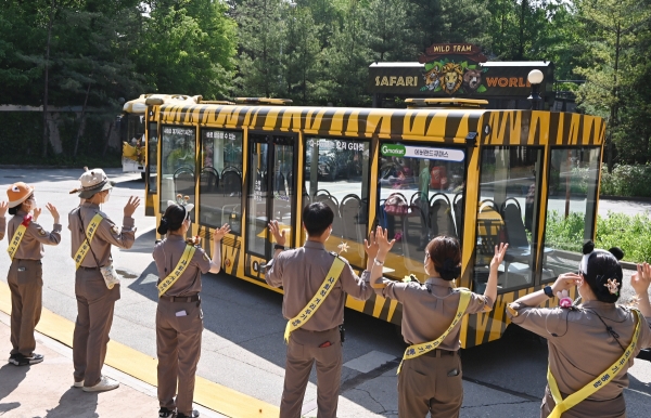 ▲지난해 5월 에버랜드는 일반 버스로 운행하던 사파리 버스를 관람창 전체가 통창으로 된 트램으로 교체했다.(뉴시스)
