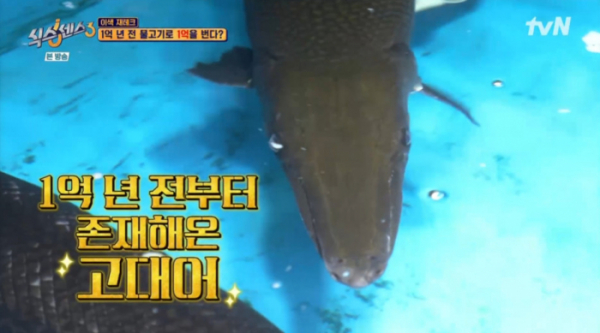 ▲고대어 재테크(사진=tvN 방송화면 캡처)