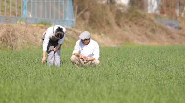 ▲'김영철의 동네 한 바퀴' 임실(사진제공=KBS 1TV)