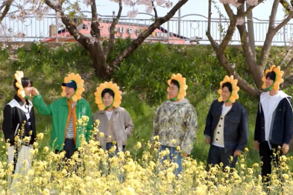 ▲1박 2일 촬영지 유채꽃 (사진제공=KBS)