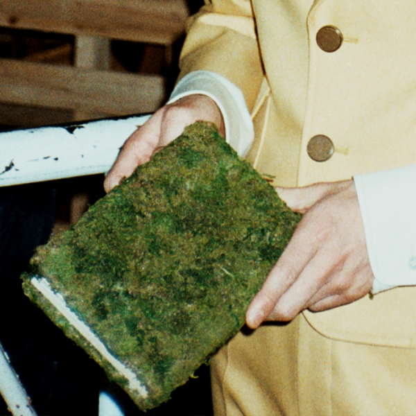 ▲잔나비(사진 = 페포니뮤직 제공)