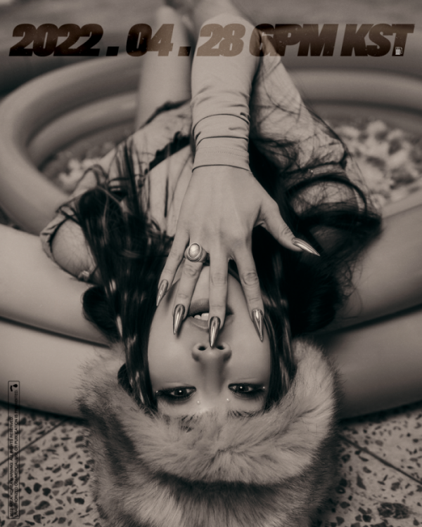 ▲미란이(사진 = 에어리어 제공)