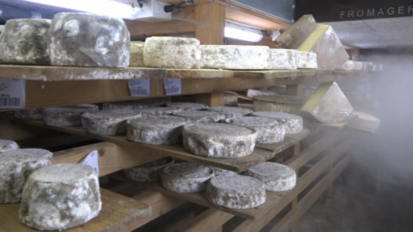 ▲'걸어서 세계속으로' 프랑스(사진제공=KBS 1TV)