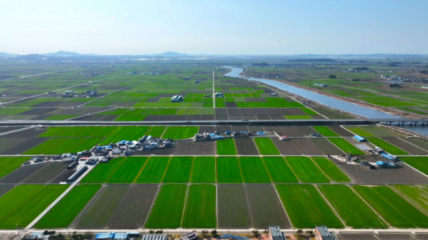 ▲'김영철의 동네한바퀴' 전북 김제(사진제공=KBS 1TV)