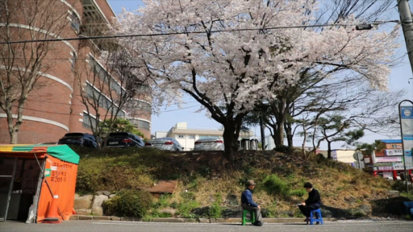 ▲'김영철의 동네한바퀴' 전북 김제(사진제공=KBS 1TV)