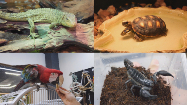 ▲'서민갑부' (사진제공=채널A)