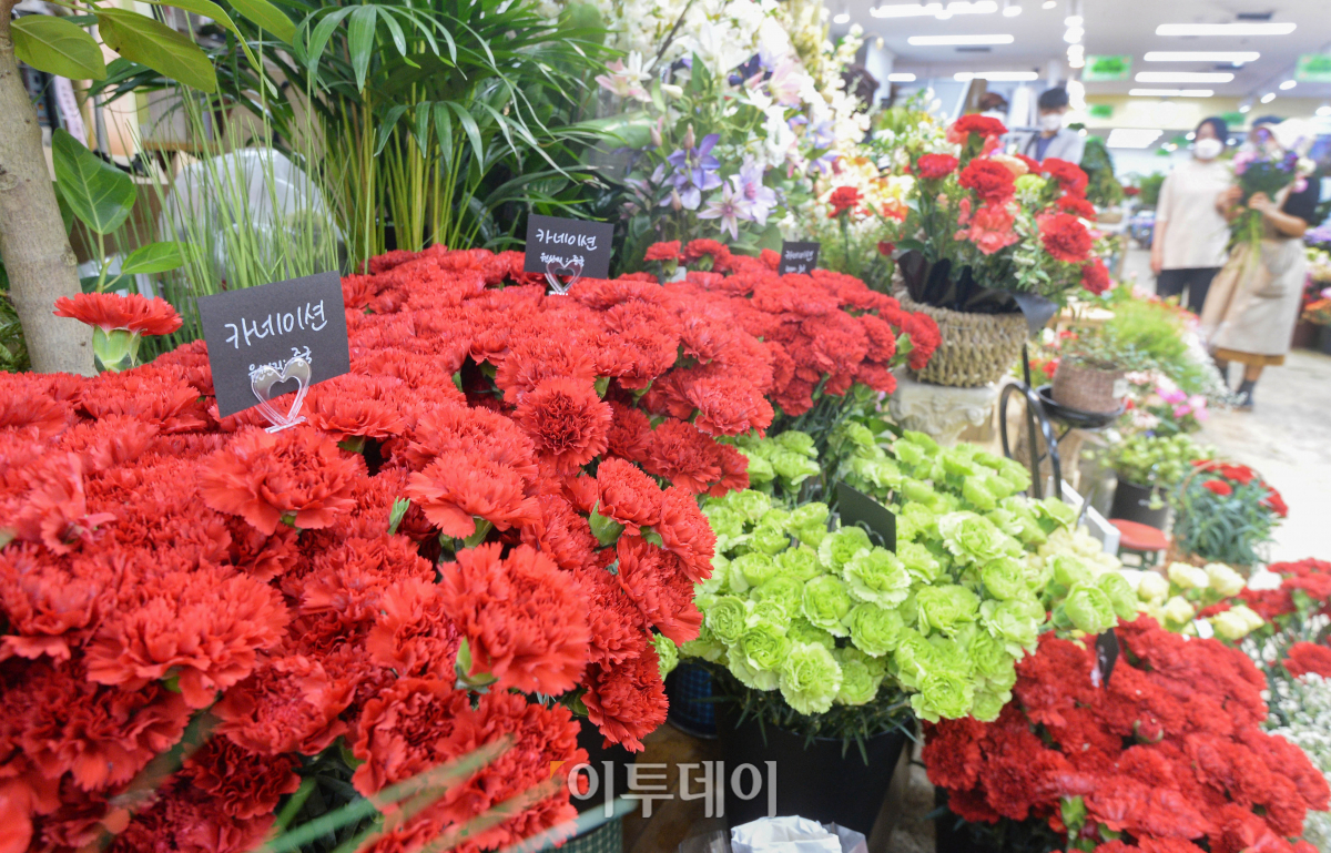 (조현욱 기자 gusdnr8863@)