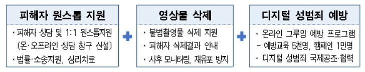 ▲디지털성범죄 안심지원센터의 지원 과정.  (자료제공=서울시)