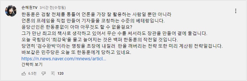 (출처=손혜원TV 커뮤니티 캡쳐)