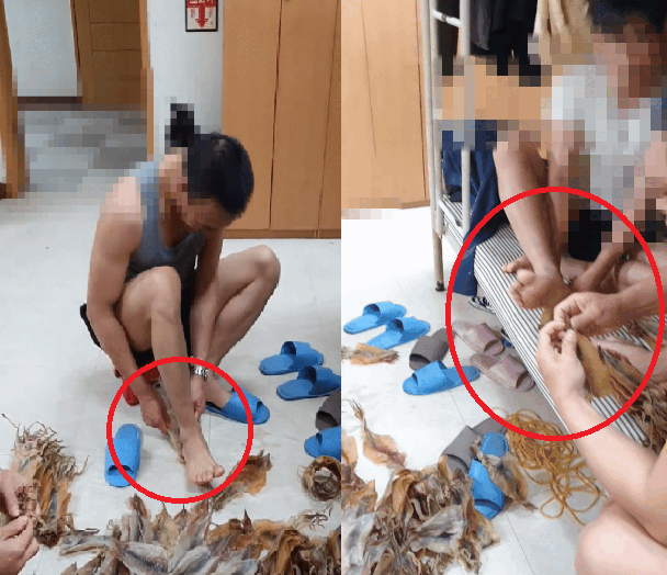 (틱톡 영상 캡처.)