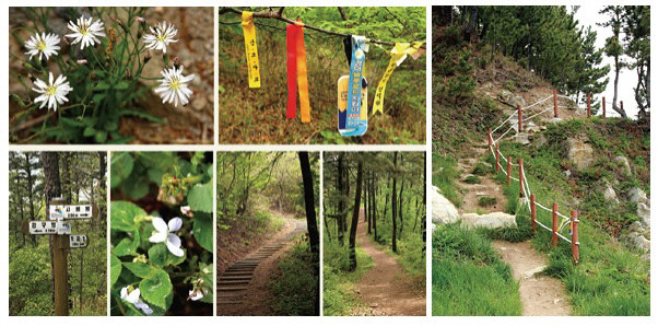 ▲빛과 바람의 길, 영덕 블루로드
