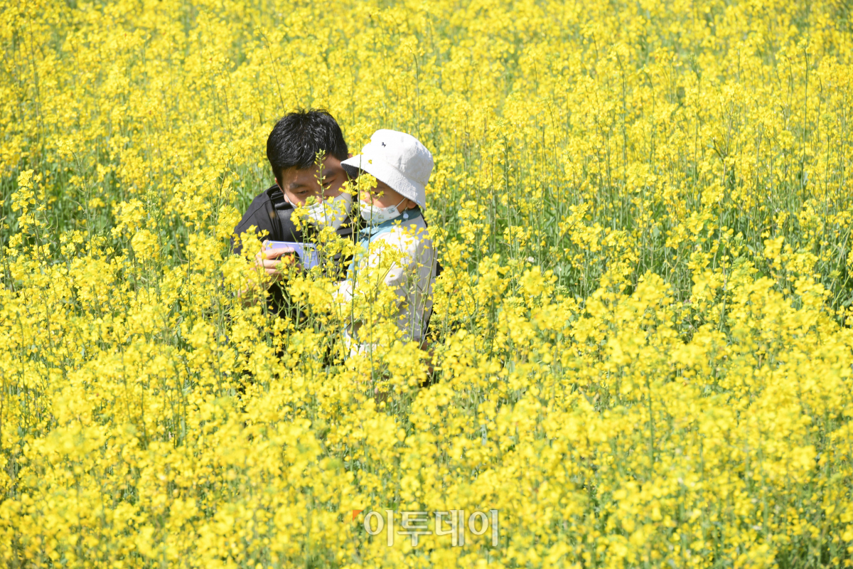 (조현호 기자 hyunho@)