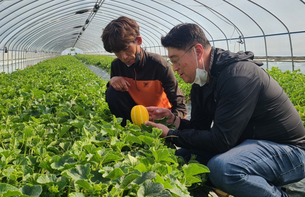 (사진제공=롯데쇼핑)