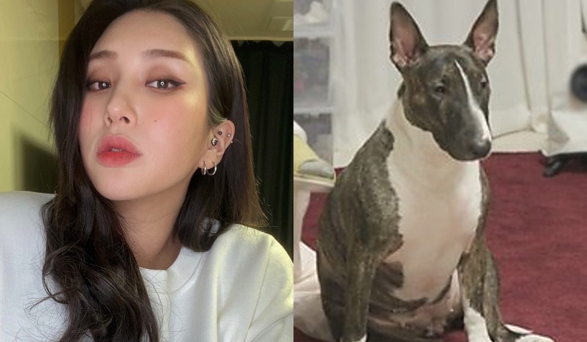 ▲(출처=자이언트핑크 인스타그램, SBS ‘동상이몽2-너는 내 운명’)
