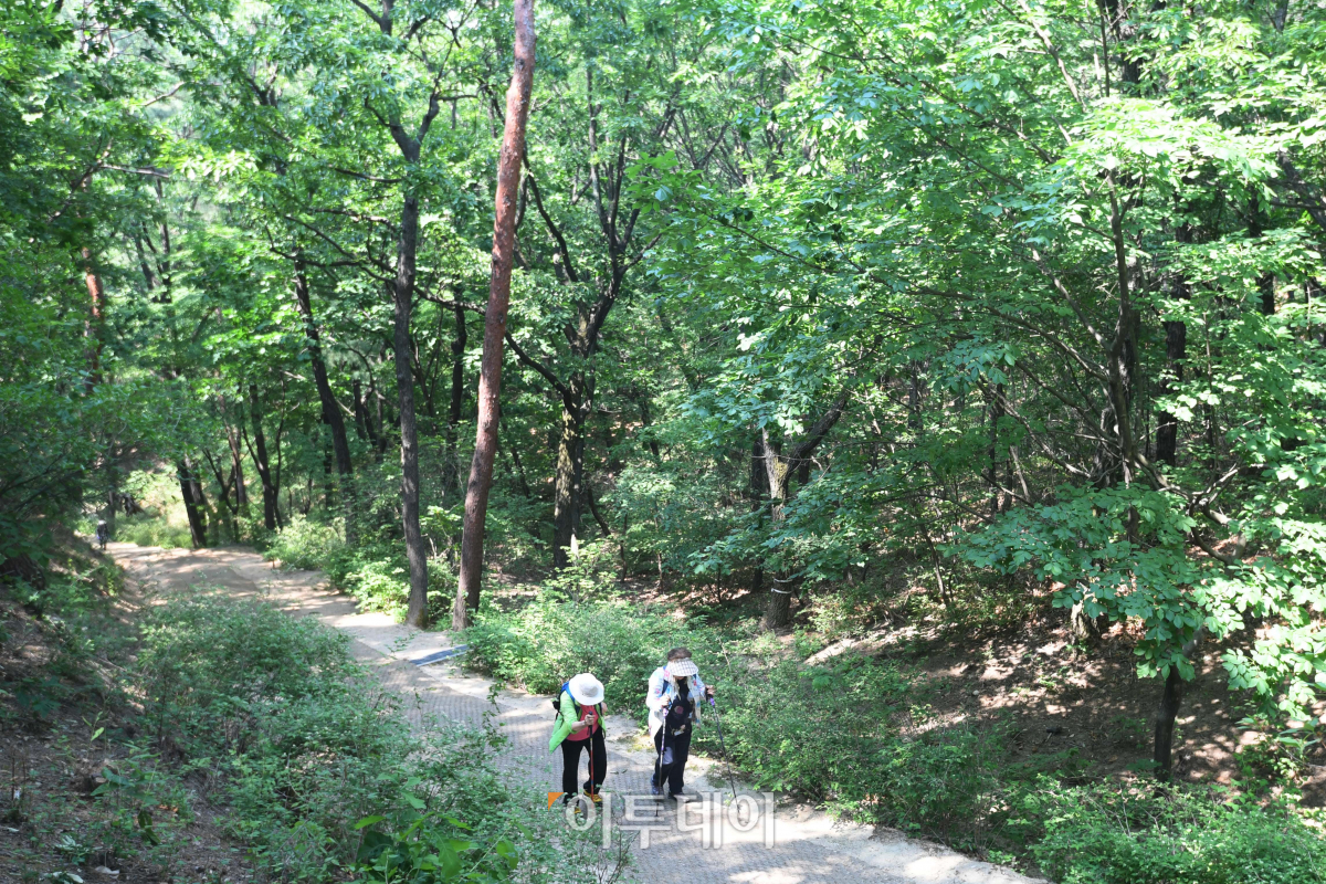 (조현호 기자 hyunho@ )