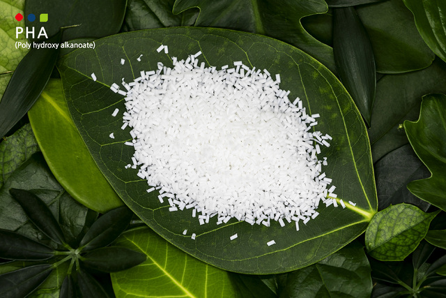 ▲image롯데케미칼이 개발한 생분해성 플라스틱 소재 PHA. (사진제공=롯데케미칼)