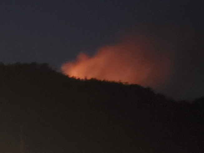 ▲강원도 철원군 갈말읍 동막리 172-2 일원 (자료 = 산림청)