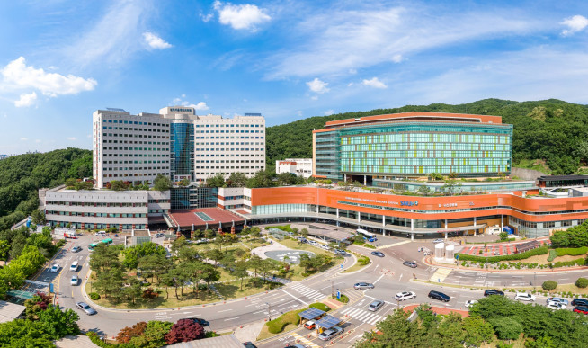(사진제공=분당서울대병원)