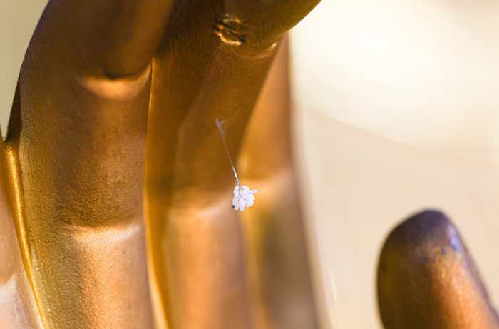 ▲(사진제공=단양군)