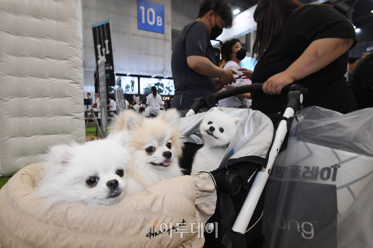 (조현호 기자 hyunho@)