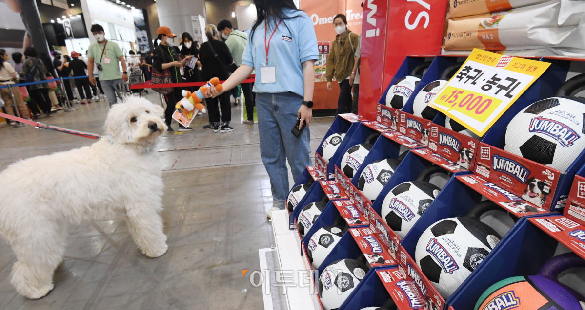 (조현호 기자 hyunho@)