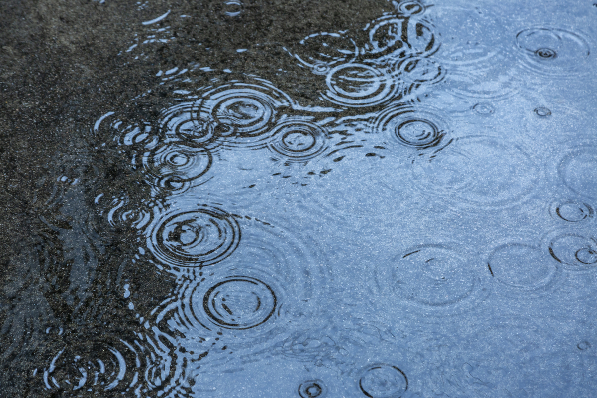 (이미지투데이)