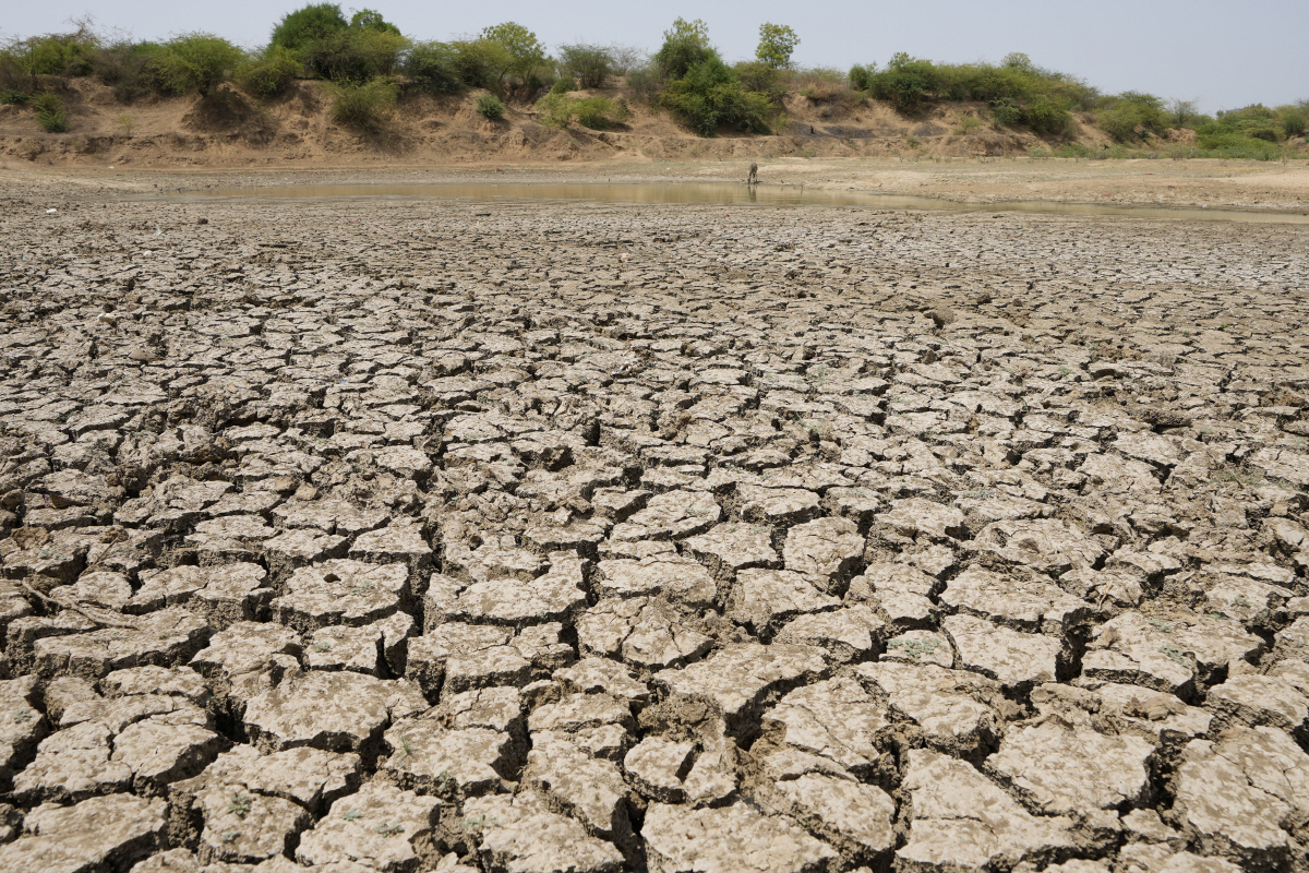 ▲10일 인도 아메다바드 지역의 호수가 바짝 말라있다. (AP/연합뉴스)