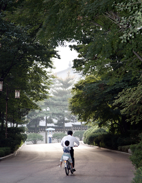 ▲2007년 9월 청와대에서 휴일에 손녀와 자전거를 타고 있는 고 노무현 대통령의 모습. 전속 사진사 장철영 작가가 촬영했다. (뉴시스)
