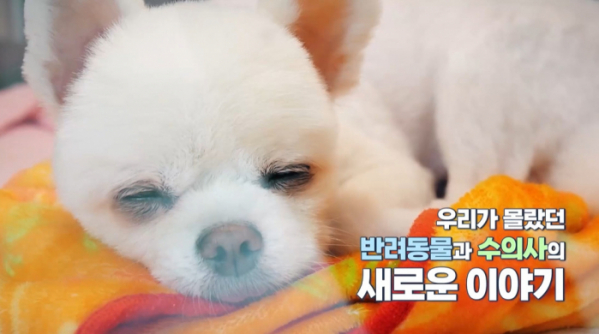 ▲‘심장이 뛴다 38.5'(사진제공=MBC)