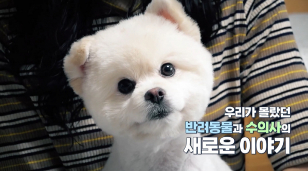 ▲‘심장이 뛴다 38.5'(사진제공=MBC)