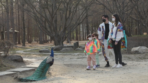 ▲‘어서와 한국은 처음이지’ 남이섬(사진제공=MBC에브리원)