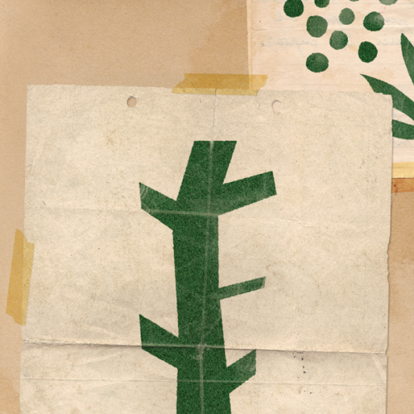 ▲잔나비(사진 = 페포니뮤직 제공)