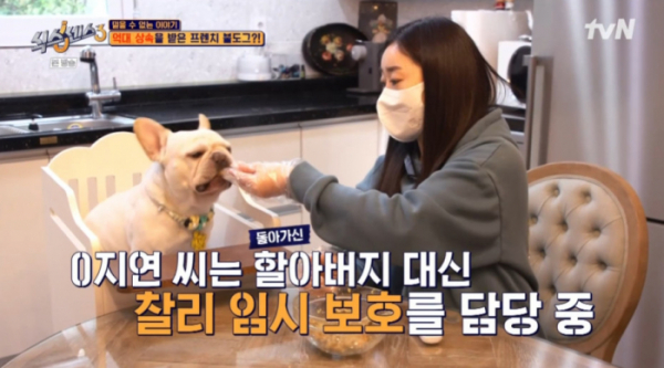 ▲펫 신탁으로 8억을 상속 받은 불독(사진=tvN 방송화면 캡처)