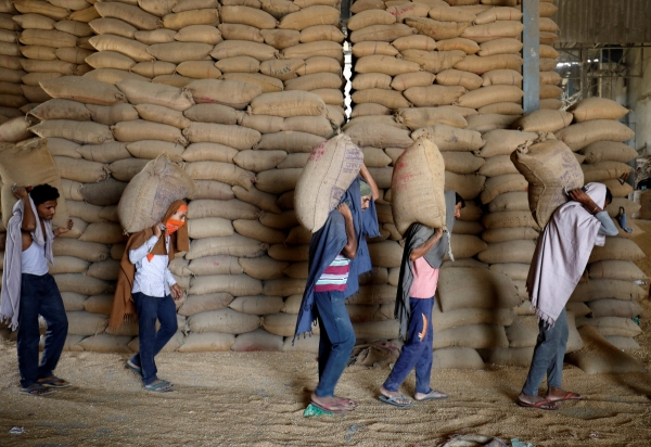 ▲인도 아흐메다바드 외곽의 한 곡물공장에서 노동자들이 체로 걸러낼 밀 자루를 나르고 있다. (연합뉴스/REUTERS)
