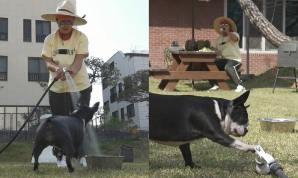 ▲박세리 반려견 모찌(사진제공=MBC)