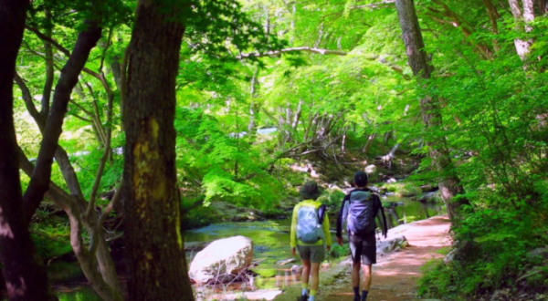 ▲'영상앨범산' 고창 선운산(사진제공=KBS 2TV)