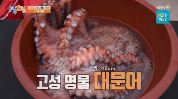 ▲대문어(사진=KBS2 '1박 2일 시즌4' 방송화면 캡처)