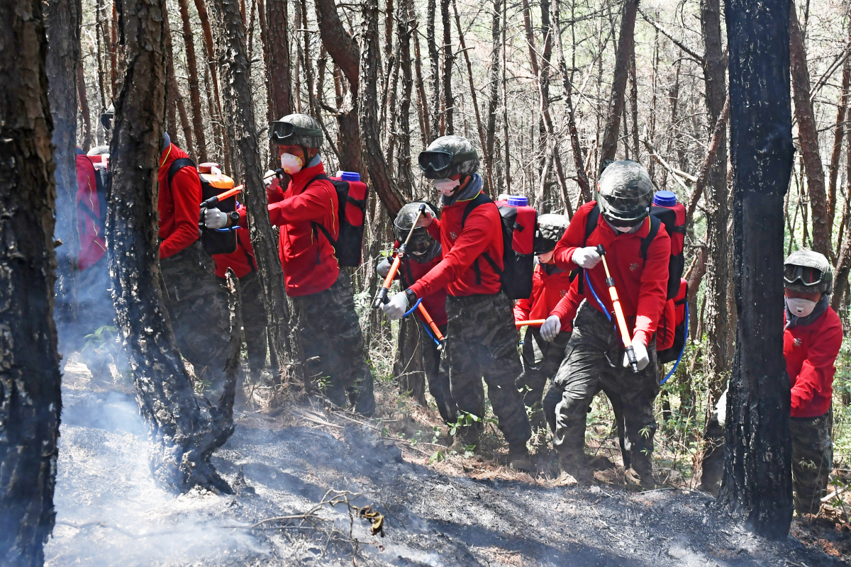 ▲2일 해병대 1사단 장병들이 경남 밀양시 부북면 산불 현장에서 진화 작업을 펼치고 있다.
(연합뉴스)