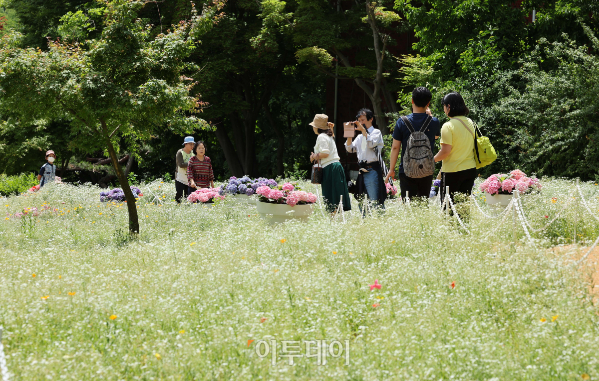 (조현욱 기자 gusdnr8863@)