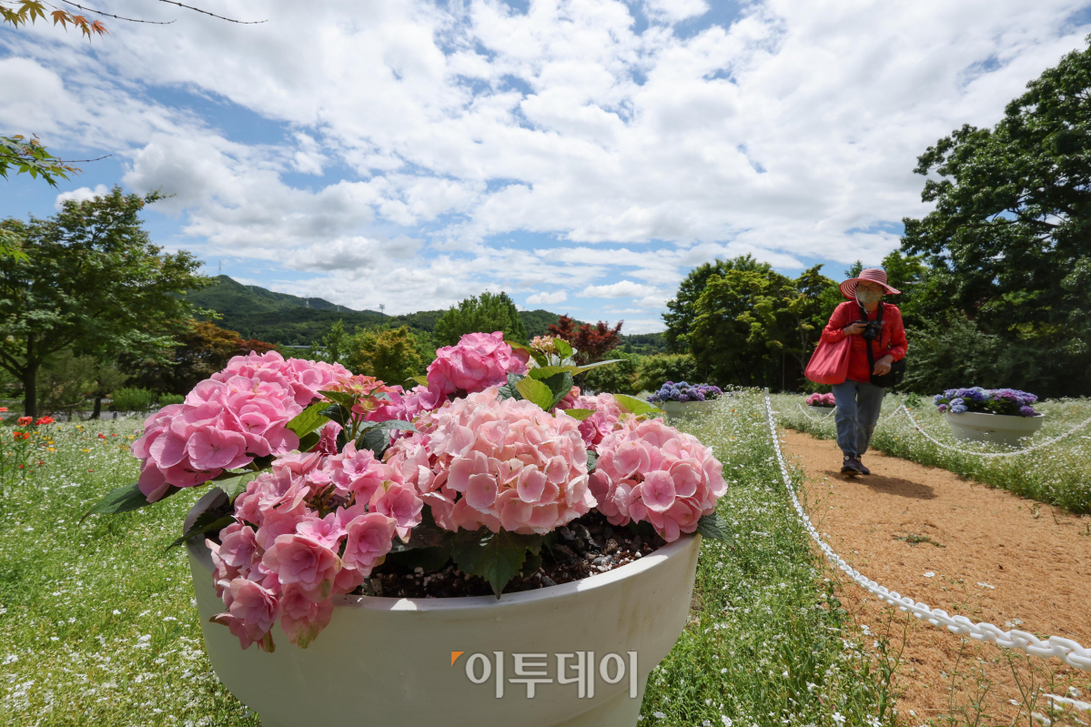 (조현욱 기자 gusdnr8863@)