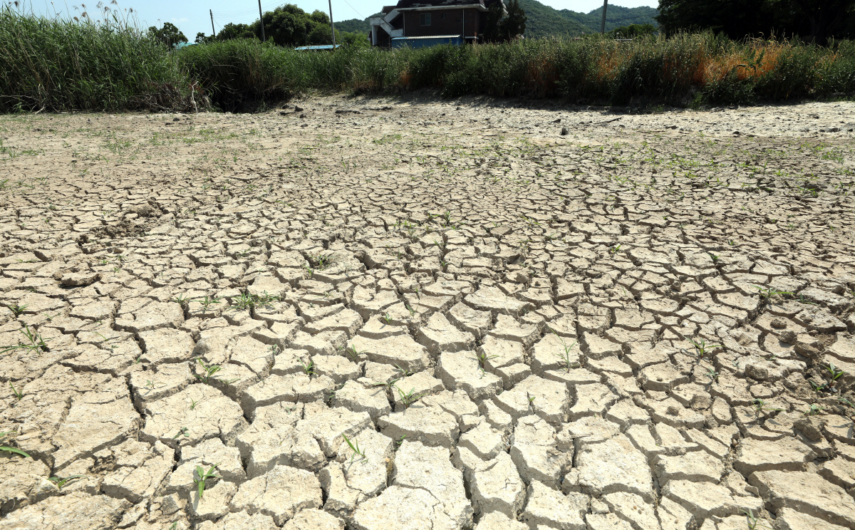 ▲기후변화 영향 등으로 봄철 가뭄과 건조한 날씨가 이어진 6월 2일 세종시 소정면의 한 하천이 바짝 말라붙어 있다.(뉴시스)
