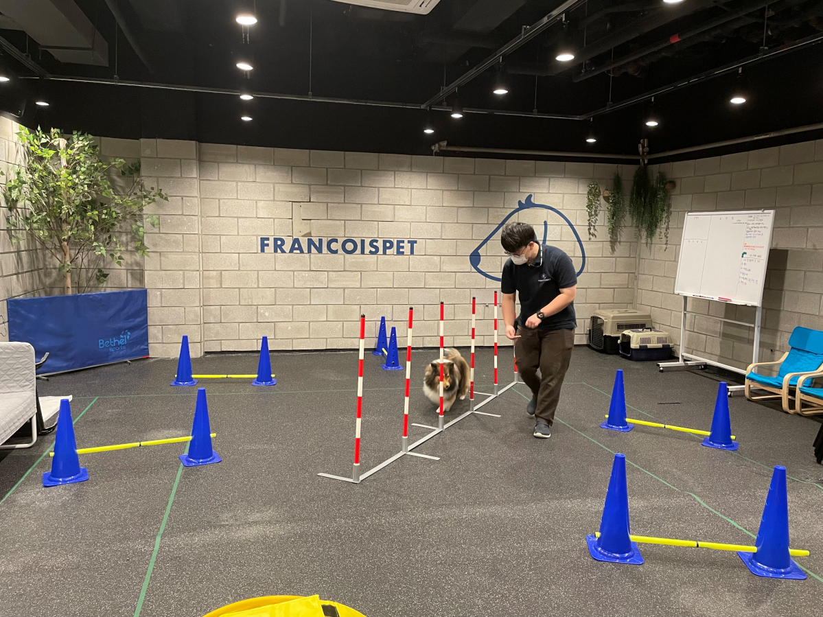 ▲프랑소와펫 유치원. (롯데백화점)