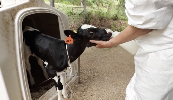 ▲'다큐프라임'(사진제공=MBC)