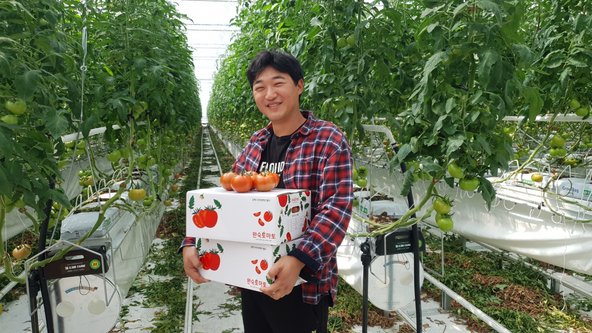 ▲김제 스마트팜 혁신밸리의 임대형 스마트팜에 입주한 청년농 김기현(32) 씨. (사진제공=김기현 청년농)