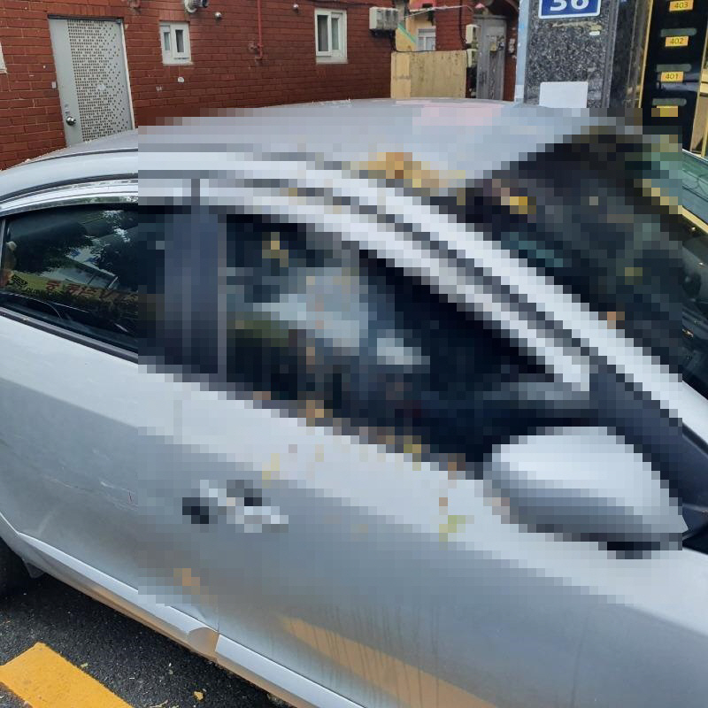 ▲(커뮤니티 캡처)
