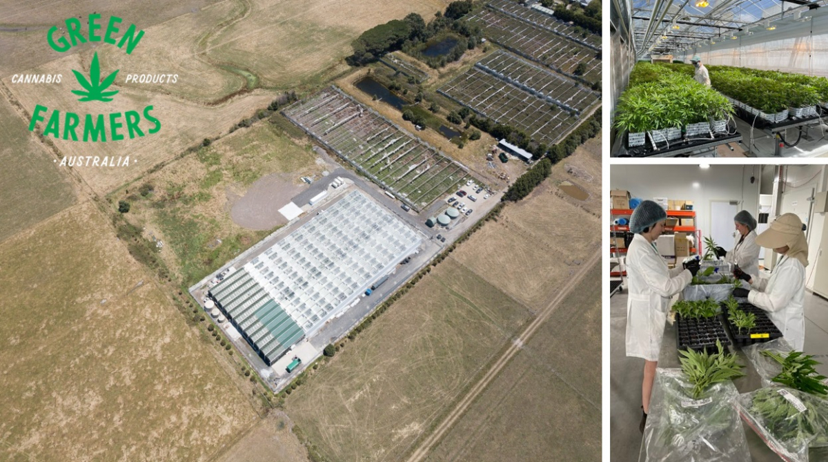 (사진제공=메디콕스)