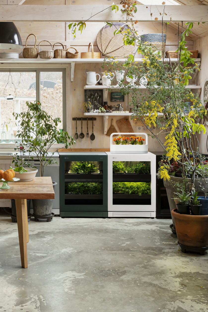 ▲LG 틔운과 틔운 미니의 모습 (사진제공=LG전자)