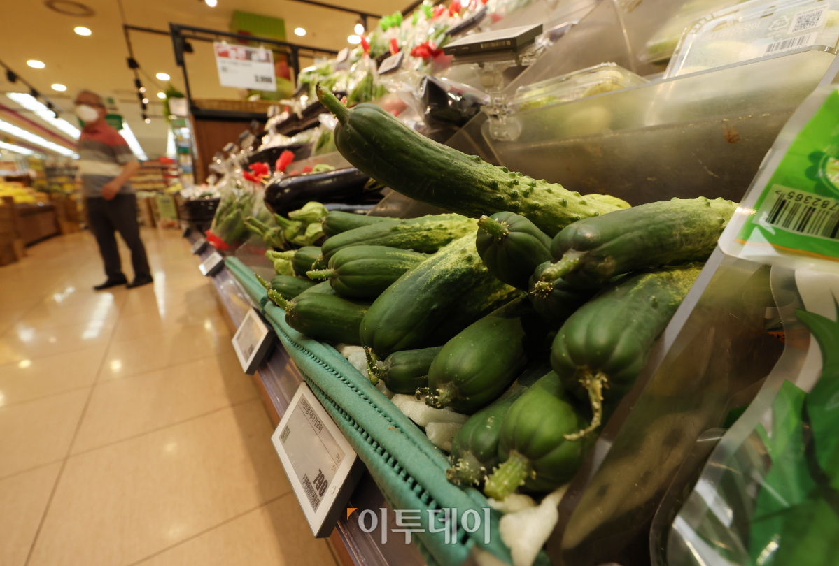 (조현욱 기자 gusdnr8863@)