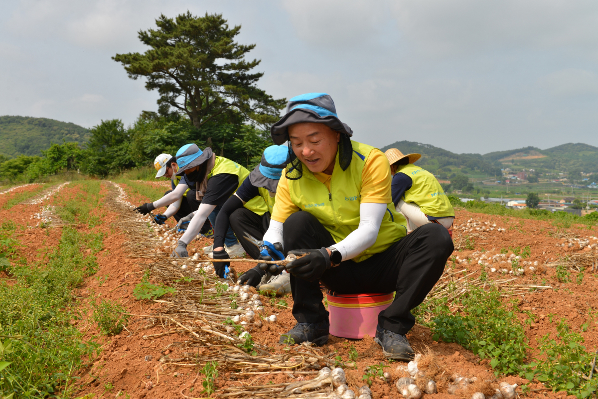 ▲이성구 농협중앙회 서산시지부장(사진 앞줄 왼쪽 두 번째), 최문섭 대표이사(사진 앞줄 왼쪽 세 번째), 이상윤 서산농협 조합장(사진 앞줄 왼쪽 네 번째), 이규학 뱅길이 마을 이장(사진 앞줄 오른쪽 네 번째), 이종욱 농협중앙회 충남세종지역 본부장(사진 앞줄 오른쪽 세 번째)이 헤아림 봉사단과 기념사진 촬영을 하고 있다.