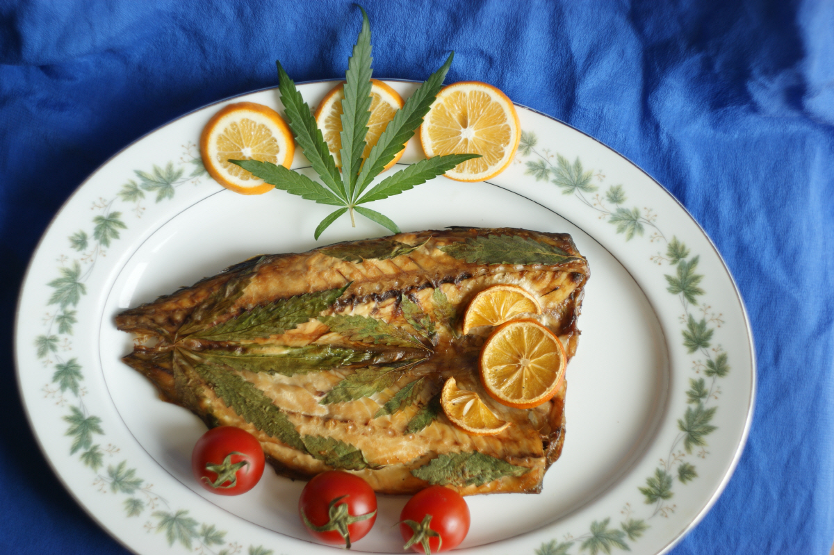 ▲대마가 들어간 음식의 모습. (출처=게티이미지뱅크)
